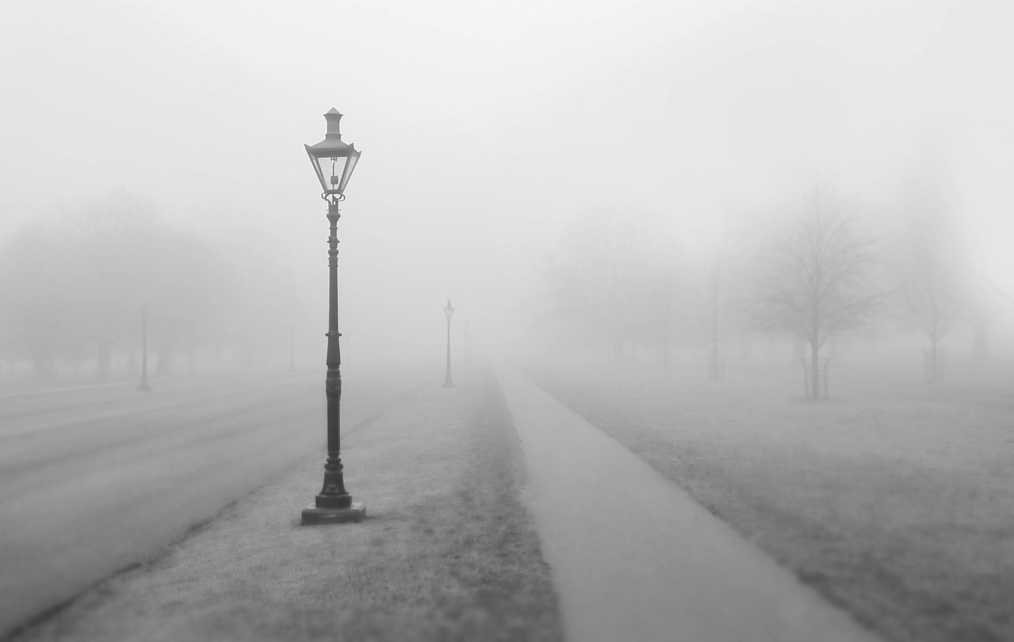 Quiet Desperation or Dreams Realized?  The Choice is Yours!
