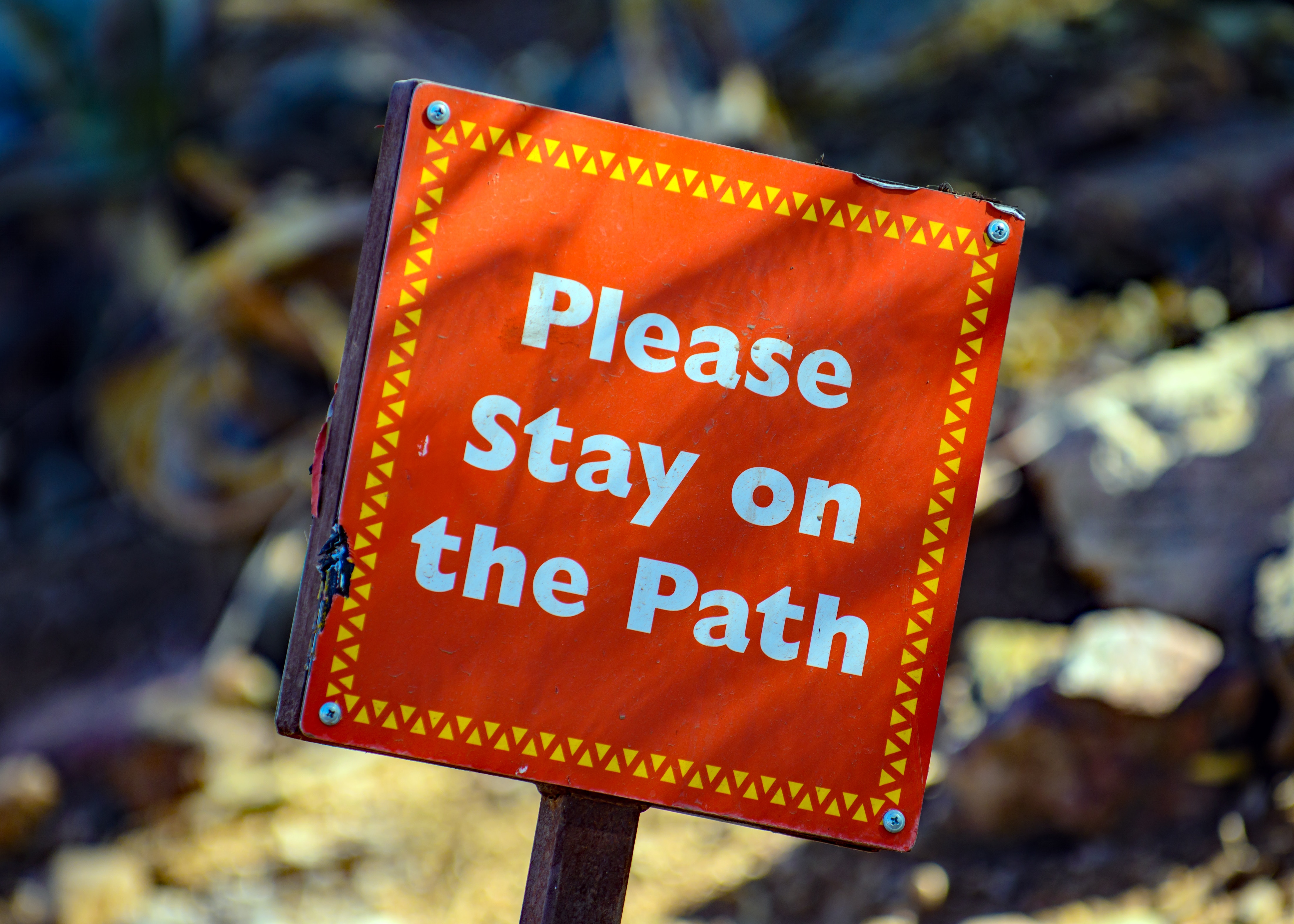 Are Rules Running Your Life?