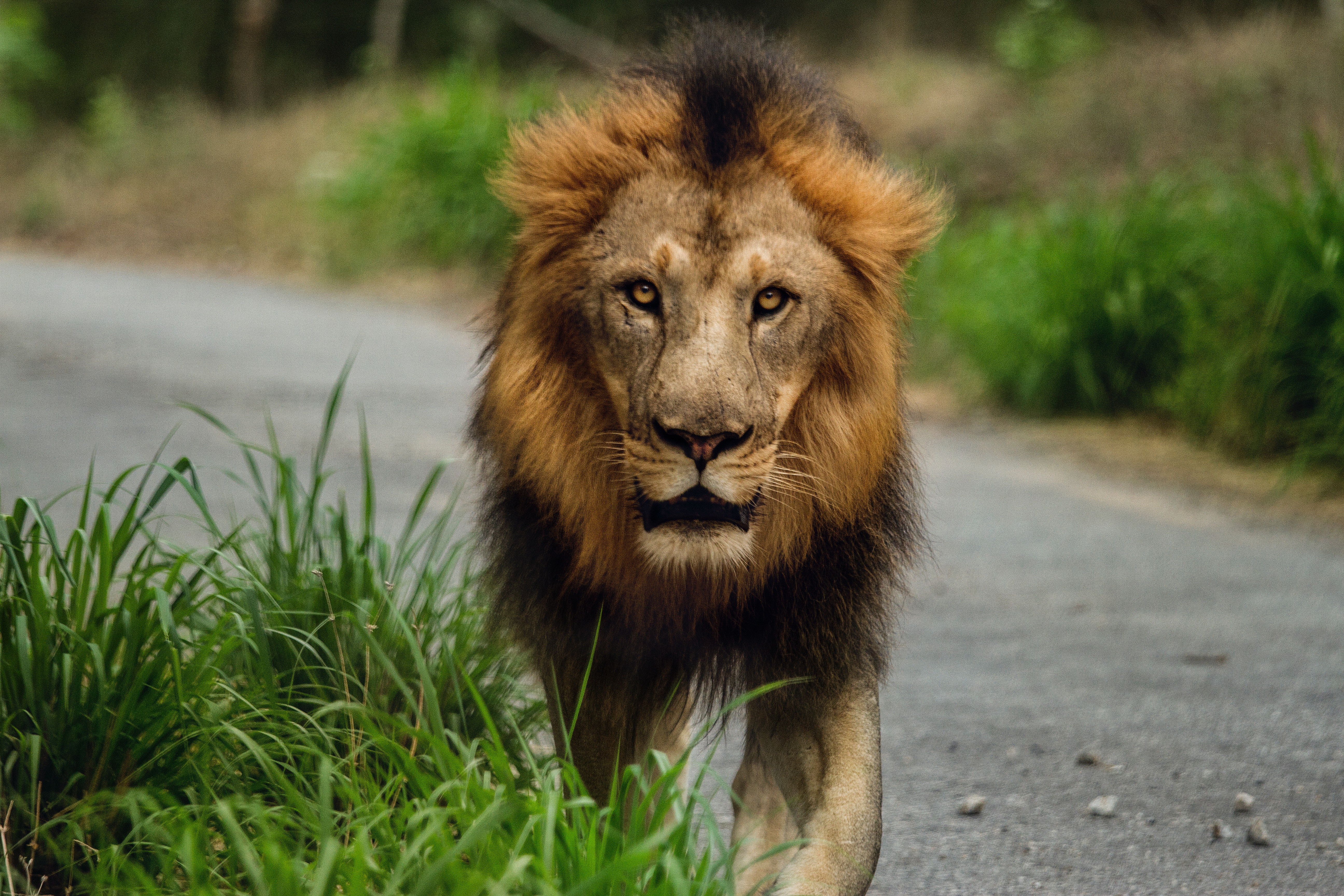 Two Keys to Discovering Your Courage
