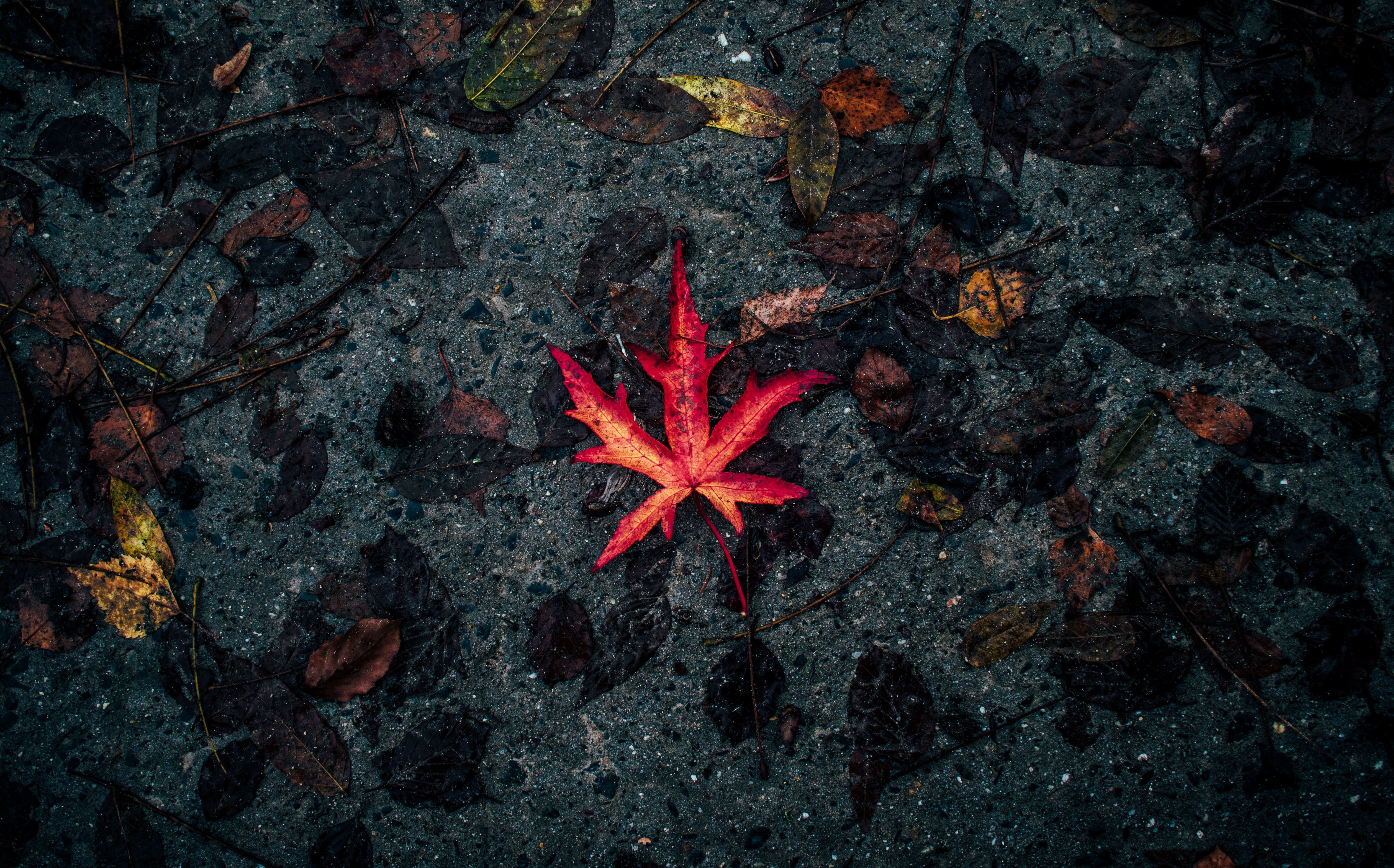 The Blessing of Standing Out