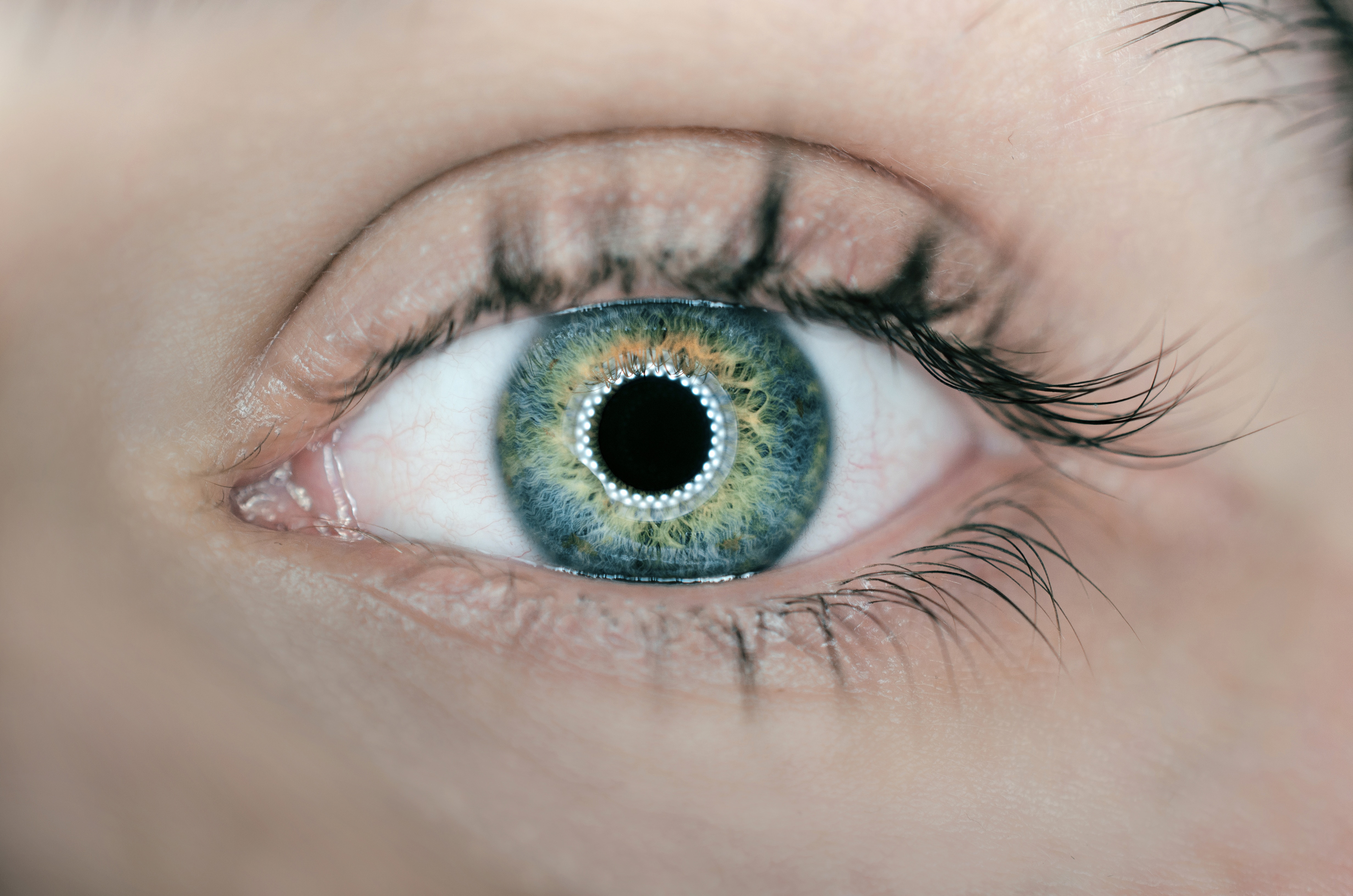 When Was the Last Time You Felt Guided to Make a Decision Based on Gut Instinct?
