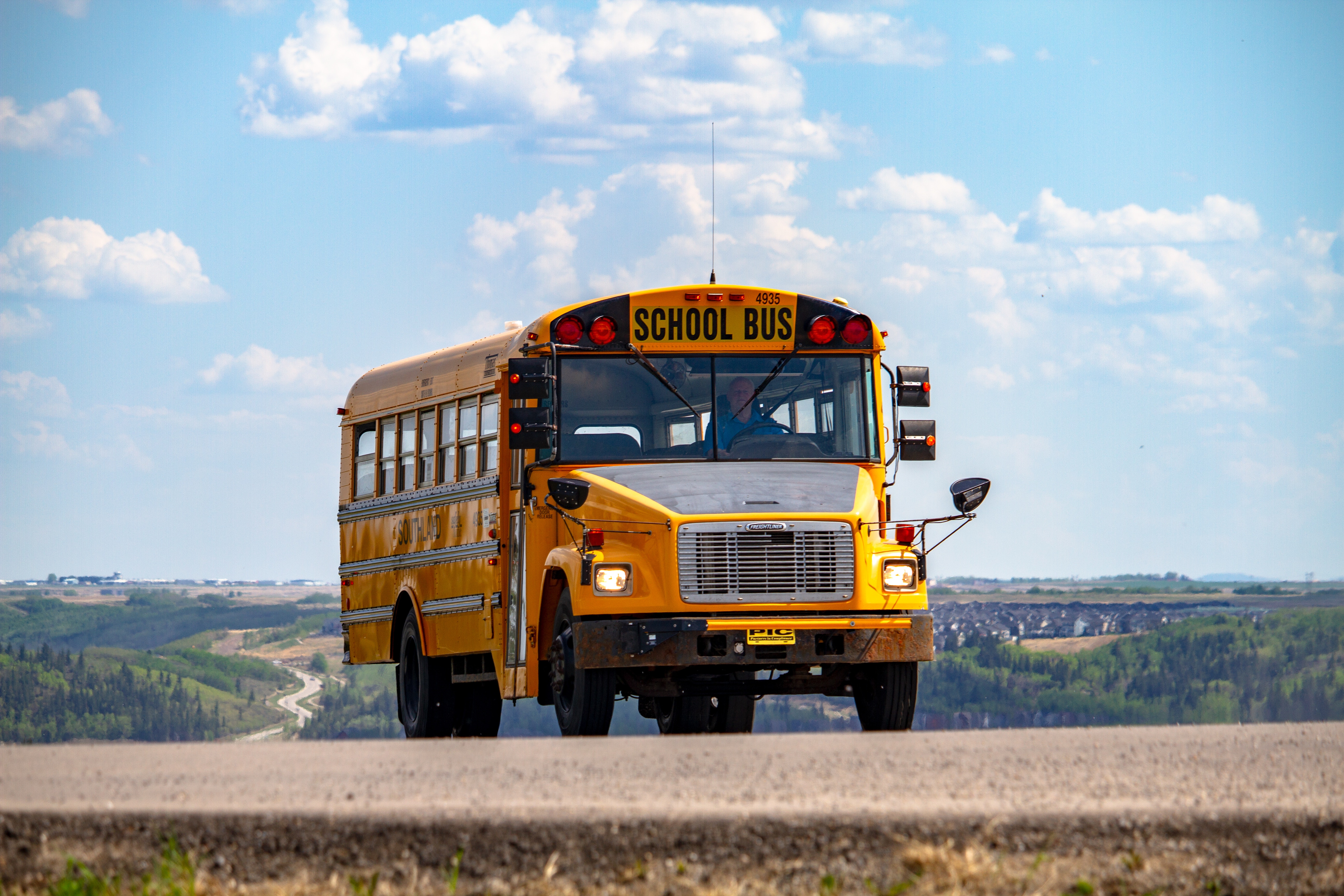 The School of Life