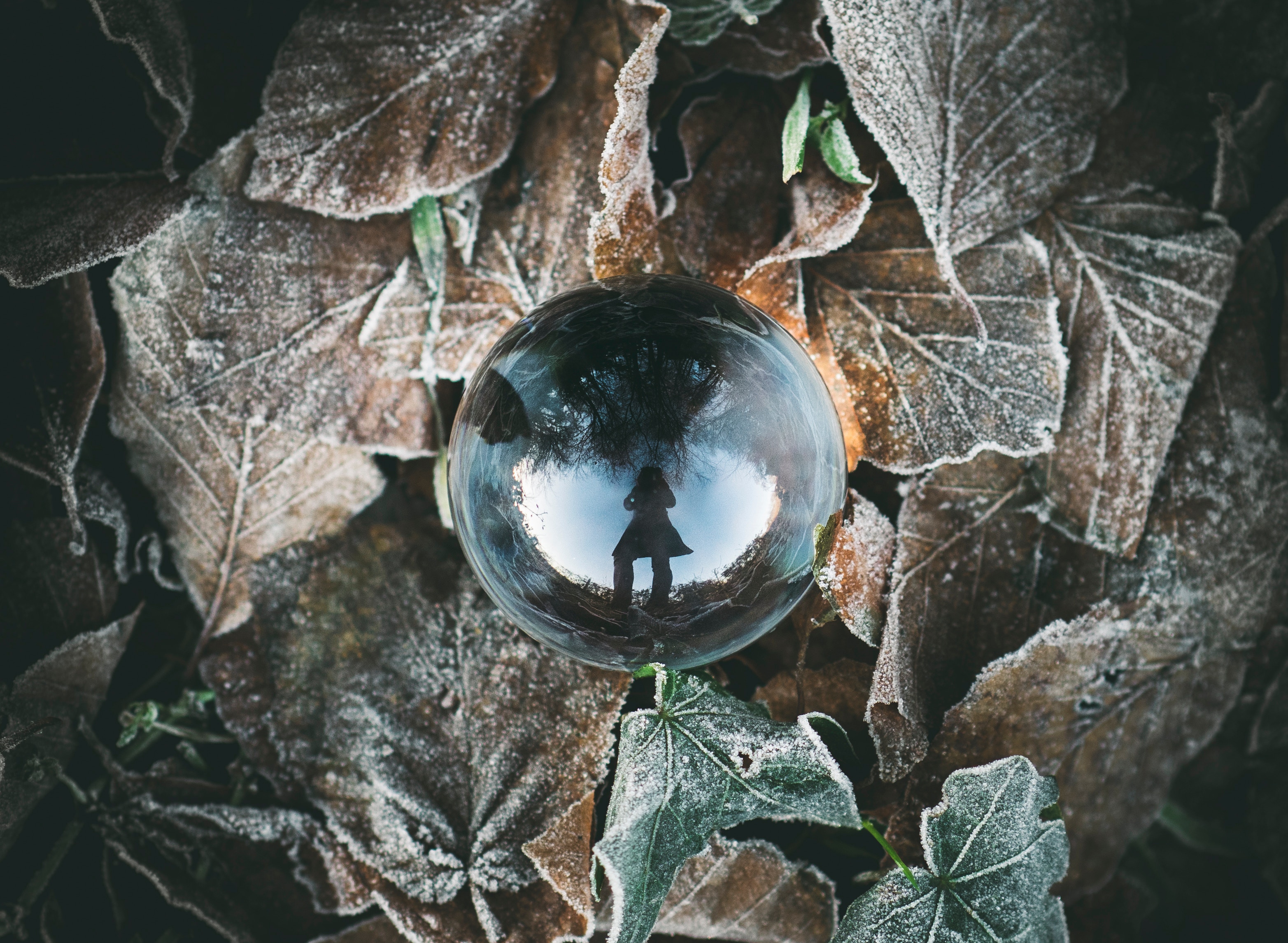 Look Within Yourself.  You Have the Answers!