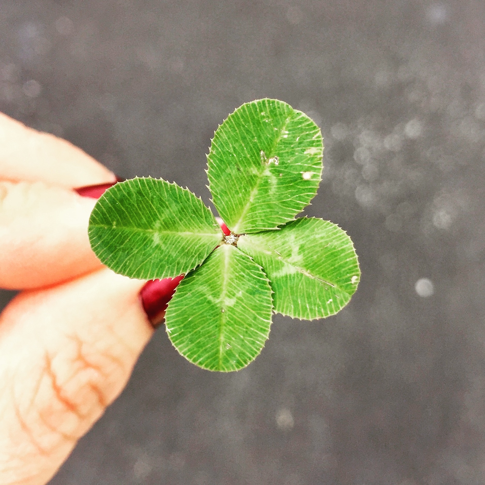 You Can Be Lucky Too!